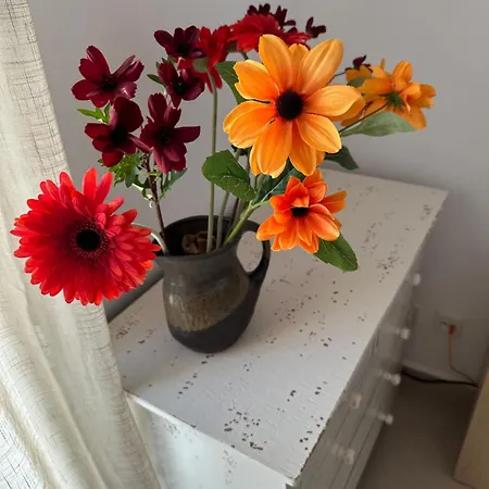 Moderne 3 Slaapkamer וילה