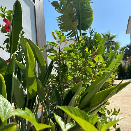 Moderne 3 Slaapkamer * דניה